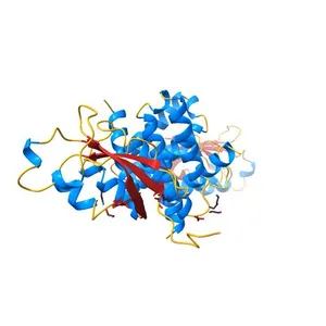 The 1.95 A Crystal Structure of the Co-factor Complex of NSP7 and the C-terminal Domain of NSP8 from SARS-CoV-2
