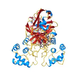 X-ray Structure of SARS-CoV-2 main protease bound to Boceprevir at 1.45 A