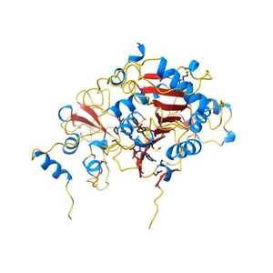 The crystal structure of SARS-CoV-2 nsp10-nsp16 methyltransferase complex with Sinefungin