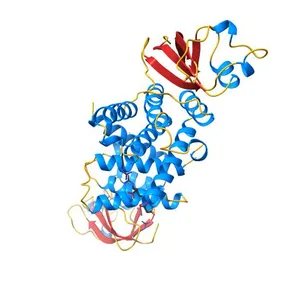 Crystal Structure of the Second Form of the Co-factor Complex of NSP7 and the C-terminal Domain of NSP8 from SARS CoV-2