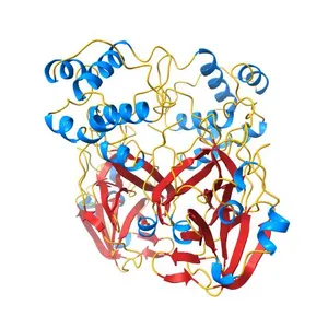 Crystal structure of the 2019-nCoV main protease