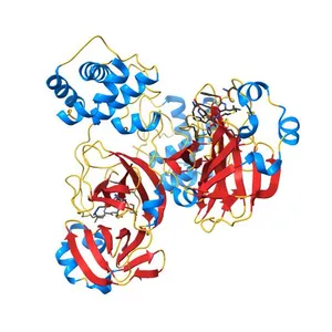 Crystal structure of the 2019-nCoV main protease complexed with GC376