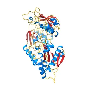 MppA Periplasmic Murein Tripeptide Binding Protein, Unliganded Open Form