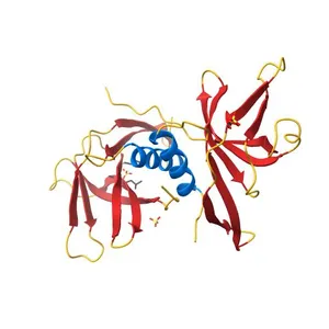 SARS-CoV-2 Nsp9 RNA-replicase