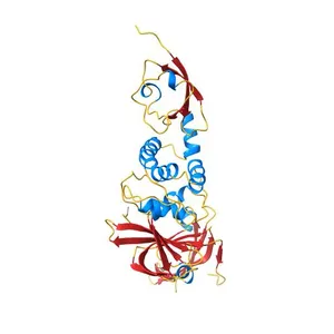 Crystal structure of the SARS CoV-2 Papain-like protease in complex with peptide inhibitor VIR250