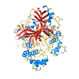 Crystals Structure of the SARS-CoV-2 (COVID-19) main protease with inhibitor GC-376
