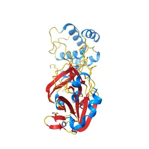 Structure of the hemiacetal complex between the SARS-CoV-2 Main Protease and Leupeptin