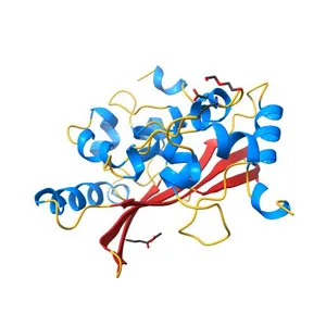 Crystal structure of the C-terminal domain of SARS-CoV-2 nucleocapsid protein