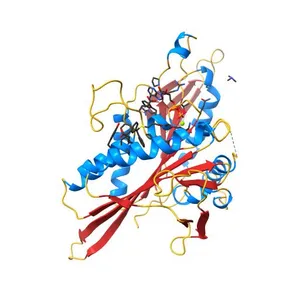 Human Eg5 in complex with S-trityl-L-cysteine