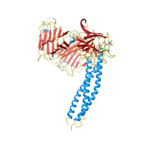 Crystal structure of the heterotrimeric integrin-binding region of laminin-111