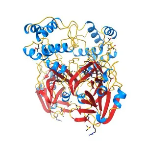 PanDDA analysis group deposition SARS-CoV-2 main protease fragment screen -- Crystal Structure of SARS-CoV-2 main protease in complex with Z1129289650 (Mpro-x2646)