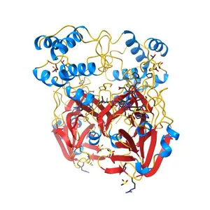 PanDDA analysis group deposition SARS-CoV-2 main protease fragment screen -- Crystal Structure of SARS-CoV-2 main protease in complex with Z4438424255 (Mpro-x2776)