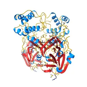PanDDA analysis group deposition SARS-CoV-2 main protease fragment screen -- Crystal Structure of SARS-CoV-2 main protease in complex with Z4444622066 (Mpro-x2563)