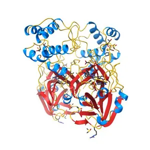 PanDDA analysis group deposition SARS-CoV-2 main protease fragment screen -- Crystal Structure of SARS-CoV-2 main protease in complex with Z4444621965 (Mpro-x2764)