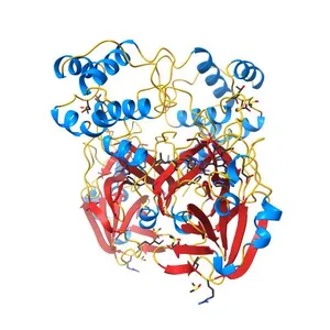 PanDDA analysis group deposition SARS-CoV-2 main protease fragment screen -- Crystal Structure of SARS-CoV-2 main protease in complex with Z4444621910 (Mpro-x2569)