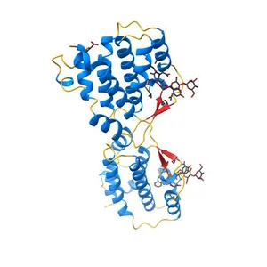 Crystal Structure of Human Interleukin-34