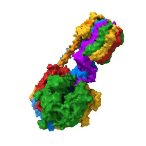 E. coli ATP Synthase State 1e