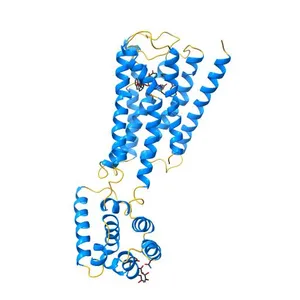 M3-mT4L receptor bound to NMS
