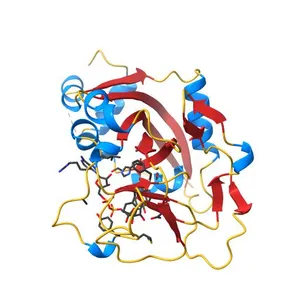 Human PARP-1 bound to NAD+ analog benzamide adenine dinucleotide (BAD)