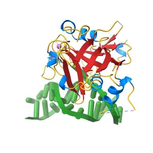 CRYSTAL STRUCTURE OF THE HUMAN AAG DNA REPAIR GLYCOSYLASE COMPLEXED WITH 1,N6-ETHENOADENINE-DNA