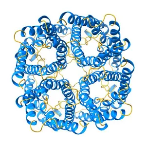 Crystal Structure of AqpZ mutant L170C