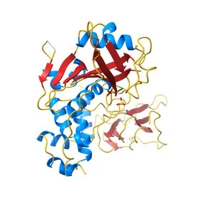 Crystal structure of a hydroxylated HIF-1 alpha peptide bound to the pVHL/elongin-C/elongin-B complex