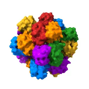 Crystal structure of Riftia pachyptila C1 hemoglobin reveals novel assembly of 24 subunits.