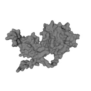 Helical measles virus nucleocapsid