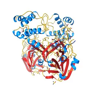 PanDDA analysis group deposition SARS-CoV-2 main protease fragment screen -- Crystal Structure of SARS-CoV-2 main protease in complex with Z4444622180 (Mpro-x2562)