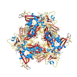 Crystal Structure of NSP15 Endoribonuclease from SARS CoV-2 in the Complex with potential repurposing drug Tipiracil