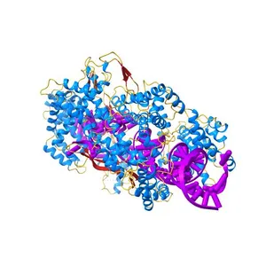Crystal structure of LbuCas13a-crRNA-target RNA ternary complex