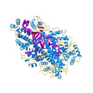 Electron cryo-microscopy structure of LbuCas13a-crRNA binary complex