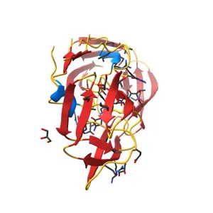 Crystal structure analysis of HIV-1 protease with a substrate analog P2-NC