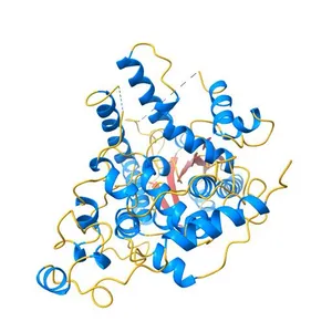 High resolution structure of mouse Cryptochrome 1
