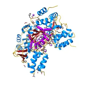 Crystal structure of Zaire Ebola VP35 interferon inhibitory domain bound to 8 bp dsRNA