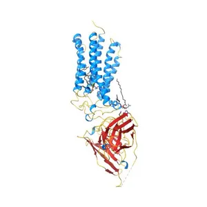 CRYSTAL STRUCTURE OF HUMAN ADIPONECTIN RECEPTOR 2 IN COMPLEX WITH A C18 FREE FATTY ACID AT 3.0 ANGSTROM RESOLUTION