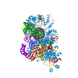 Structure of the SpCas9 DNA adenine base editor - ABE8e