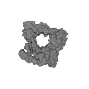 Sulfolobus islandicus filamentous virus (SIFV) capsid dimer