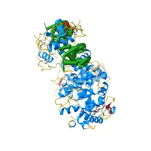 Crystal structure of multi-domain RAR-beta-RXR-alpha heterodimer on DNA