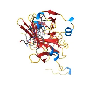 CATALYTICALLY ACTIVE TOBACCO ETCH VIRUS PROTEASE COMPLEXED WITH PRODUCT