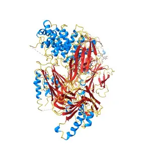 Human Complement Component C3