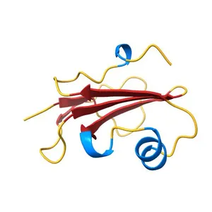High resolution structure of human CD59