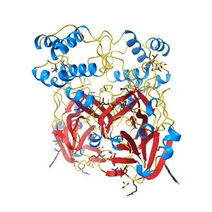 PanDDA analysis group deposition SARS-CoV-2 main protease fragment screen -- Crystal Structure of SARS-CoV-2 main protease in complex with Z1530425063 (Mpro-x2659)