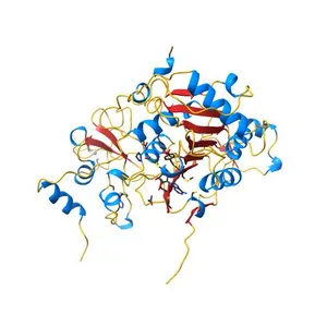 Crystal structure of nsp16-nsp10 heterodimer from SARS-CoV-2 in complex with SAM (without additional SAM during crystallization)