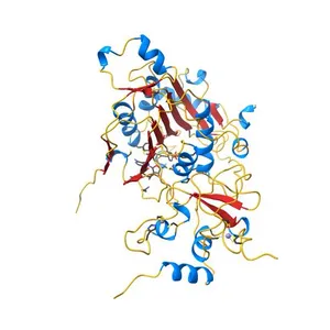 Crystal structure of nsp16-nsp10 heterodimer from SARS-CoV-2 in complex with SAM (with additional SAM during crystallization)