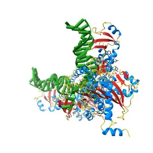 Crystal structure of the Prototype Foamy Virus (PFV) intasome in complex with magnesium and raltegravir at 2.65 resolution