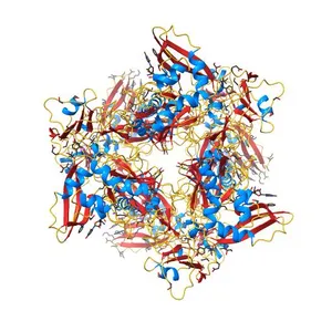 Crystal Structure of NSP15 Endoribonuclease from SARS CoV-2 in the Complex with 3'-uridinemonophosphate