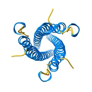 Crystal structure of post fusion core of 2019-nCoV S2 subunit