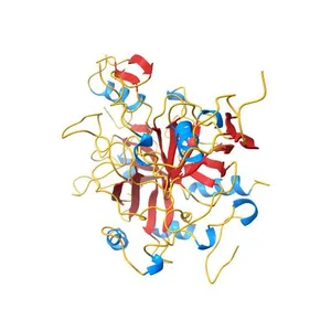 CRYSTAL STRUCTURE OF INSECT DERIVED DOUBLE DOMAIN KAZAL INHIBITOR RHODNIIN IN COMPLEX WITH THROMBIN