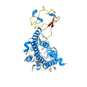 Crystal Structure of the CCR5 Chemokine Receptor